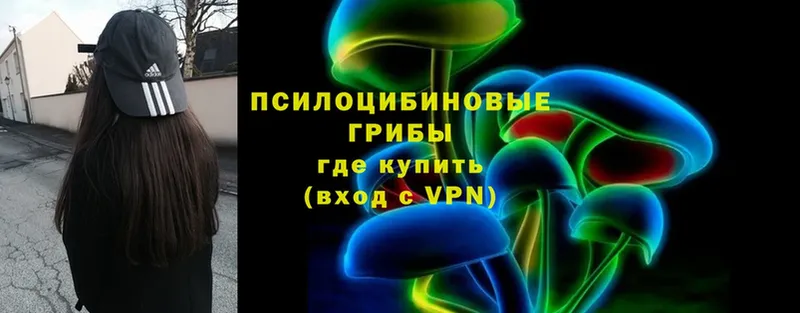 Псилоцибиновые грибы Cubensis  купить   KRAKEN как войти  Чистополь 